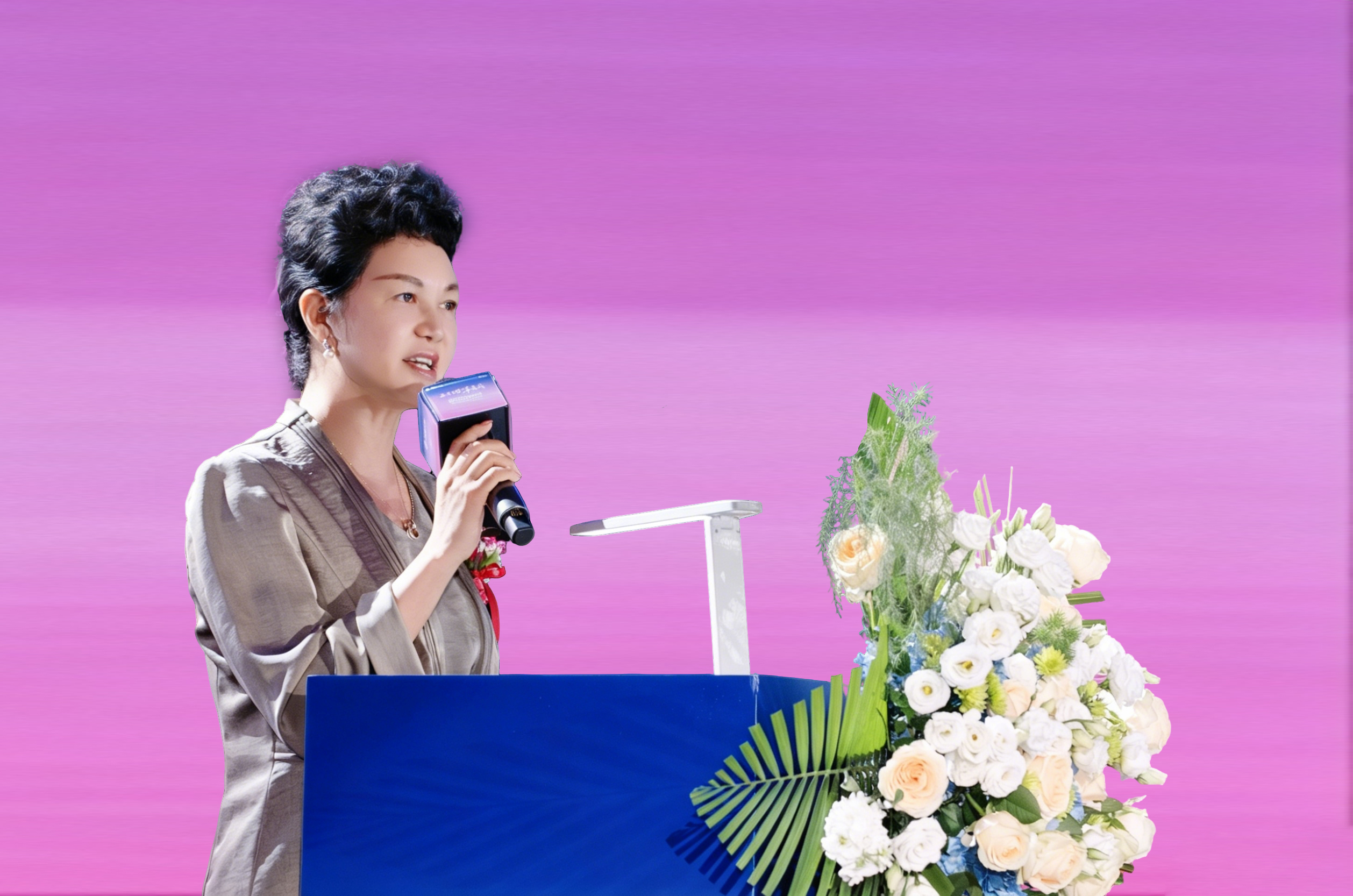 中国抗衰老促进会副理事长刘星在“三十四·事竟成”三八妇乐抗衰老蓝皮书发布暨梦想公益基金成立大会上的讲话